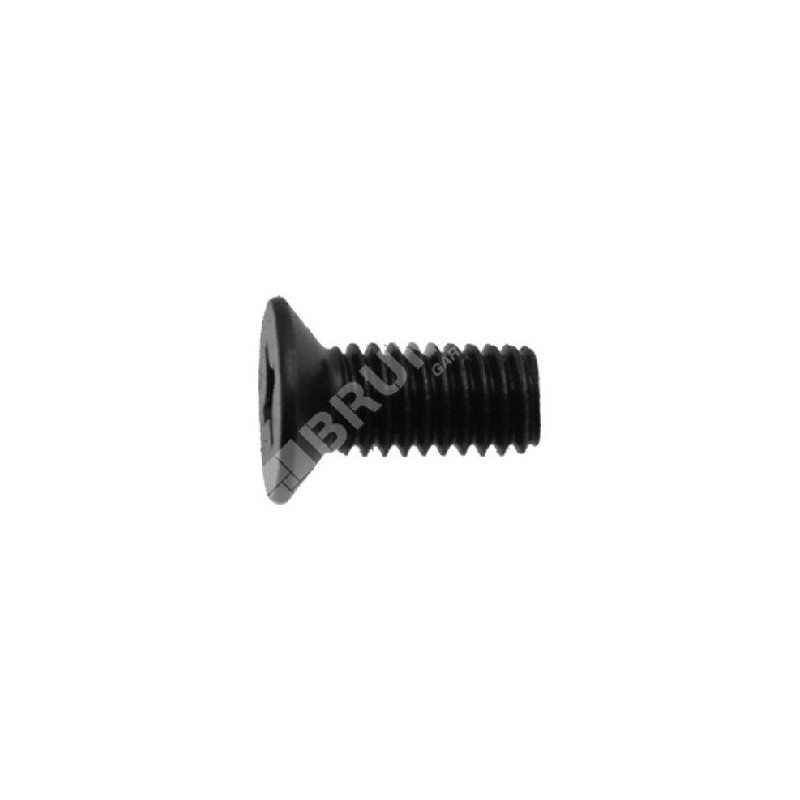Vis guide lame pour taille-haie COMPATIBLE GREEN LINE - 038344