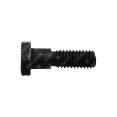 Special short screw for COMPATIBLE POULAN hedge trimmers - 004842 | NewgardenParts.com