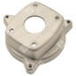 Brida cortasetos COMPATIBLE KAAZ - 028569