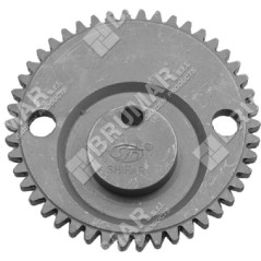 Engrenage avec excentrique pour taille-haies COMPATIBLE GREEN LINE - 023899 | NewgardenParts.com