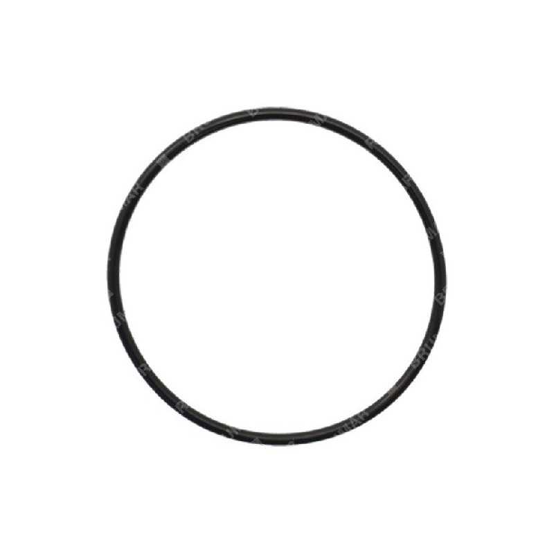 O-Ring (s50) für KAAZ-Heckenscheren KOMPATIBEL - 028421