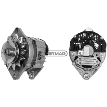 Alternator Data 28 V - 55 A COMPATIBLE - 12818 | NewgardenParts.com