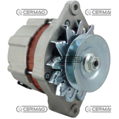 Alternateur de données 12 V - 55 A COMPATIBLE - 13359 | NewgardenParts.com