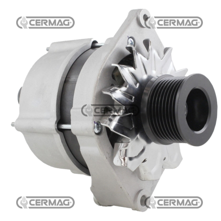 Data alternator 12 V - 120 A COMPATIBLE - 13366 | NewgardenParts.com