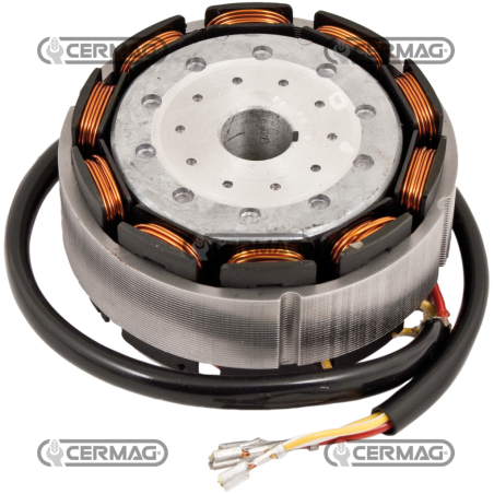 ALTERNATEUR À ANNEAU COMPATIBLE LOMBARDINI - 12182 | NewgardenParts.com