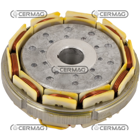 COMPATIBLE LOMBARDINI RING ALTERNATOR - 10681 | NewgardenParts.com