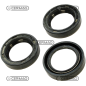 Oil seal ring Dimensions 20x30x7 mm Type BAUD1SL COMPATIBLE - 64420