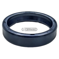 Oil seal ring Dimensions 25x31x7 mm Type BAOF COMPATIBLE - 65096