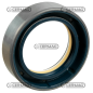 Oil seal ring Dimensions 42x62x17 mm Type COMBI SF1 COMPATIBLE - 65126