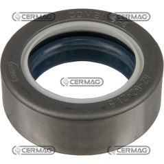 Oil seal ring Dimensions 42x62x21.5 mm Type COMBI SF6 COMPATIBLE - 65127 | NewgardenParts.com