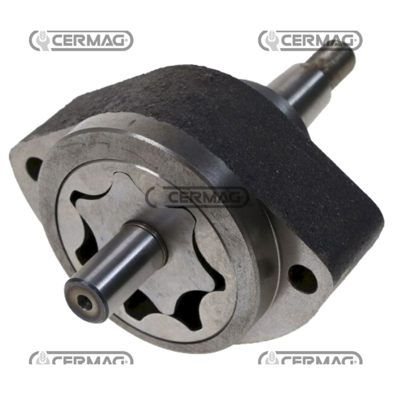 COMPATIBLE engine oil pump - 004415246C