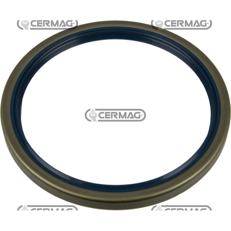 Oil seal ring Dimensions 145x170x13 mm Type B1SL COMPATIBLE - 65207