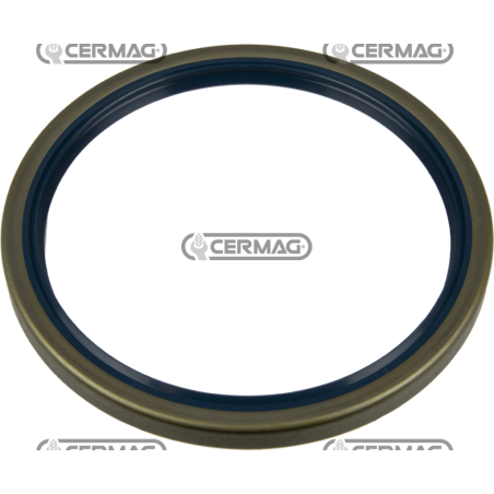 Bague d'étanchéité Dimensions 145x170x13 mm Type B1SL COMPATIBLE - 65207 | NewgardenParts.com