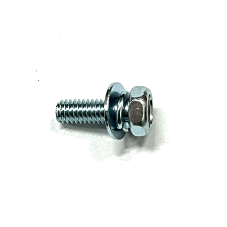 Vite (MOQ 10) ORIGINALE - C00980 | NewgardenParts.com