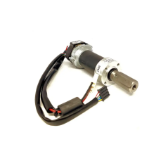 Ambrogio Motorreduzierer (bürstenlos – Getriebemotor): 042Z22400A_R | NewgardenParts.com