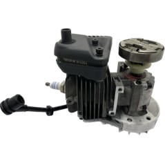 Blocco motore ORIGINALE STIGA motosega A305 - APR25 - SPR255 - EP2525CS