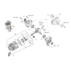 Blocco perno motosega modelli GST250 ORIGINALE OLEOMAC 50290154CR | NewgardenParts.com