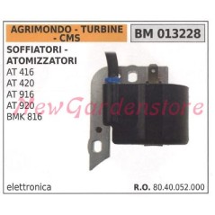 Bobina accensione AGRIMONDO per motori AT416 AT420 AT916 AT920 BMK816 013228 | NewgardenParts.com