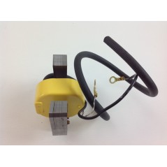 Bobina de encendido Briggs & Stratton compatible cortacésped 298968 | NewgardenParts.com