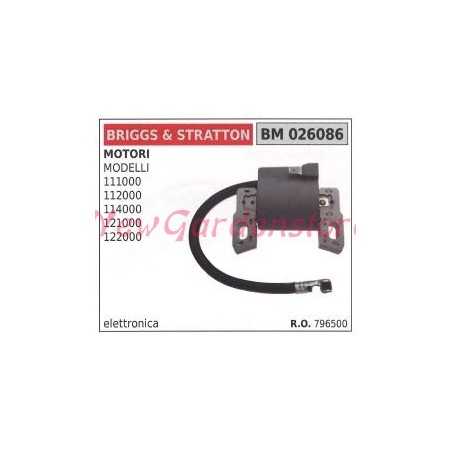 Zündspule briggs & stratton Motoren 111000 112000 114000 121000 122000 | NewgardenParts.com