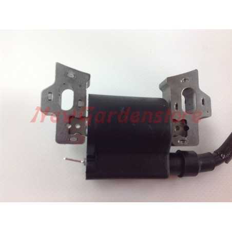 Zündspule DAYE DG 450 600 Rasenmäher progreen PG 31