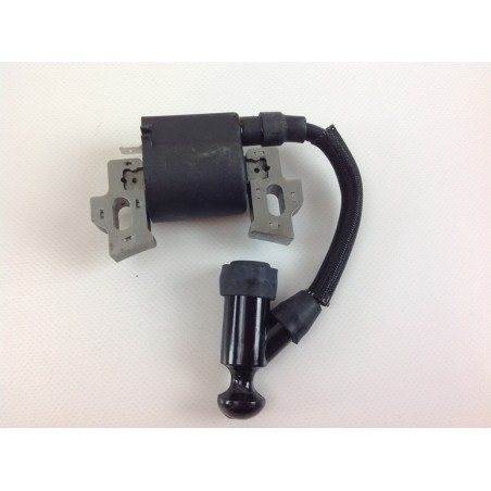 Bobina accensione DAYE per motozappe motore 135 cc ohv gt 02 a rasaerba DY18 S DY 504 SQ 022917 | NewgardenParts.com