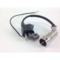 Bobine d'allumage DUCAR pour générateurs DG 3000 T DG 3000 TB DP 50 DP 80 DPT 80038106 | NewgardenParts.com