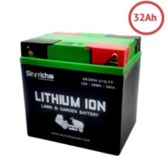 SKYRICH Rasentraktor Lithium-Batterie Kapazität 32Ah Spannung 12V