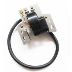 Bobina accensione elettronica compatibile BRIGGS STRATTON rasaerba EUROPA 802574 | NewgardenParts.com