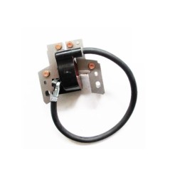 Bobina accensione elettronica compatibile BRIGGS STRATTON rasaerba EUROPA 802574 | NewgardenParts.com