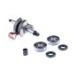 CIGUENAL 537189702 ORIGINAL HUSQVARNA