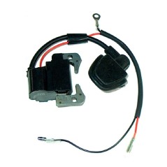 Bobina accensione elettronica compatibile ROBIN per motore NB411 CG411 | NewgardenParts.com