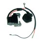 Electronic ignition coil compatible ROBIN for engine NB411 CG411