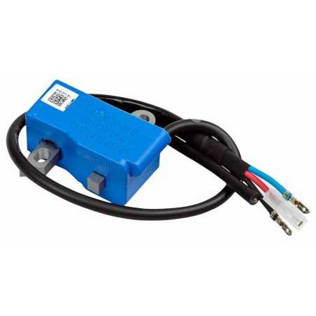 ZÜNDMODUL 585081001 ORIGINAL HUSQVARNA | NewgardenParts.com