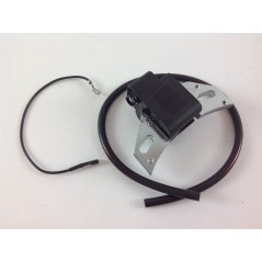 Ignition coil LOMBARDINI intermotor engines 250 IM 300 IM 350 002229 1567212