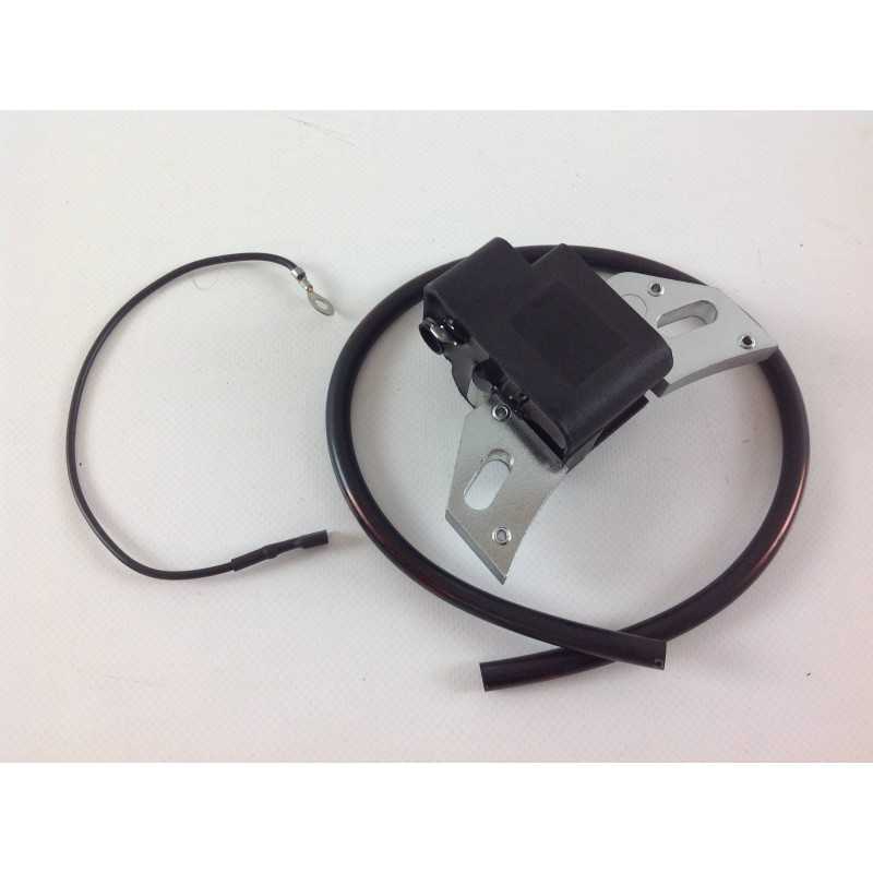 Ignition coil LOMBARDINI intermotor engines 250 IM 300 IM 350 002229 1567212