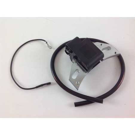 Zündspule LOMBARDINI intermotor Motoren 250 IM 300 IM 350 002229 1567212 | NewgardenParts.com