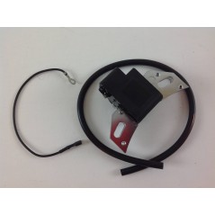 Ignition coil LOMBARDINI intermotor engines 250 IM 300 IM 350 002229 1567212 | NewgardenParts.com