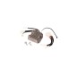 REGULADOR DE TENSION 599349073 ORIGINAL HUSQVARNA