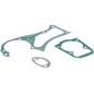 JUEGO DE JUNTAS DE MOTOR 577766603 ORIGINAL HUSQVARNA