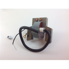 BRIGGS & STRATTON Rasentraktor-Motor-Zündspule 06 08 horizontal | NewgardenParts.com
