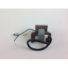 BRIGGS & STRATTON Rasentraktor-Motor-Zündspule 06 08 horizontal | NewgardenParts.com
