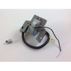 BRIGGS & STRATTON Rasentraktor-Motor-Zündspule 06 08 horizontal | NewgardenParts.com