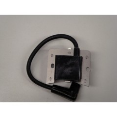 Zündspule für Rasentraktor-Motor 107-251 TECUMSEH 36344A | NewgardenParts.com