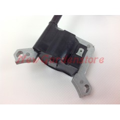PROGREEN ignition coil for PG 26 brushcutter engines 024046 | NewgardenParts.com