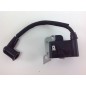 Bobine d'allumage PROGREEN pour moteurs de débroussailleuses PG 314 046326