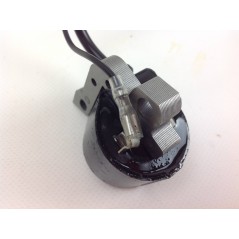 STIHL Freischneider-Motor FS 450 FR 450 480 040935 | NewgardenParts.com