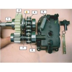 PARTE INVERSA (DOG CLUTCH) ORIGINALE STIGA - 1483-1086-01