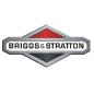 Original BRIGGS & STRATTON Rasenmähermotor-Aufkleber 494256
