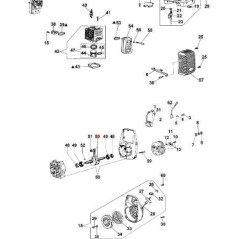 VILEBREQUIN EMAK ORIGINAL 301000385AR | NewgardenParts.com